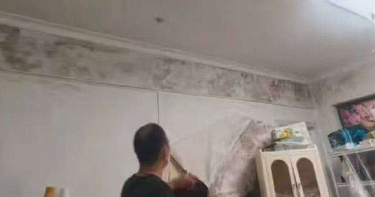 深圳一家反复不适揭开墙纸惊见霉斑 专家警告可致肺部感染