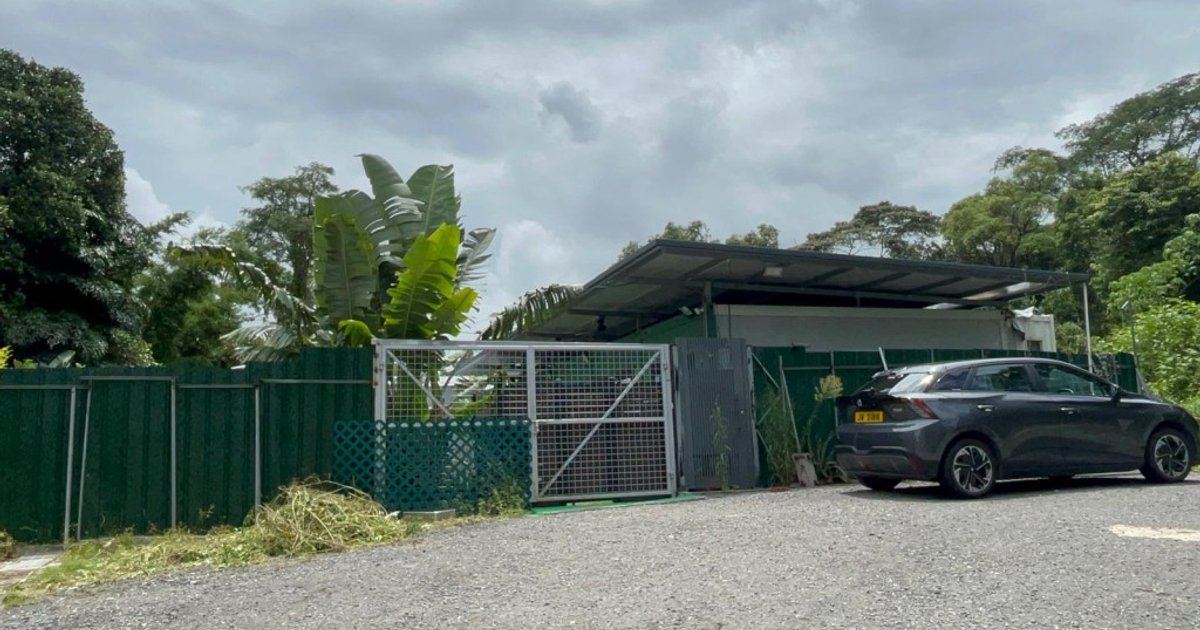 Animal Rescue Group Mourns Pet Hotel Owner Killed in Tragic Dog Attack