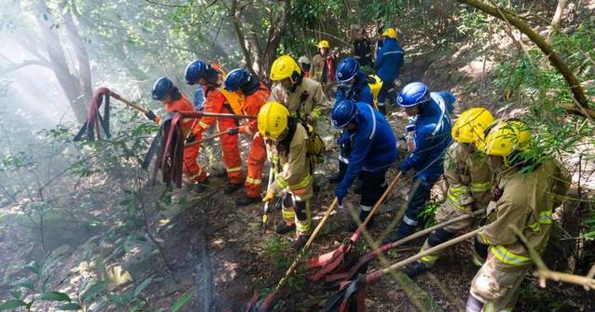 政府跨部门山火暨攀山拯救行动演习 狮子山动员150人演练
