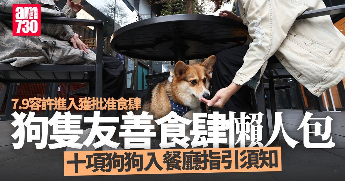 狗隻友善餐廳名單更新 逾900間獲批 3類食肆仍禁狗隻進入