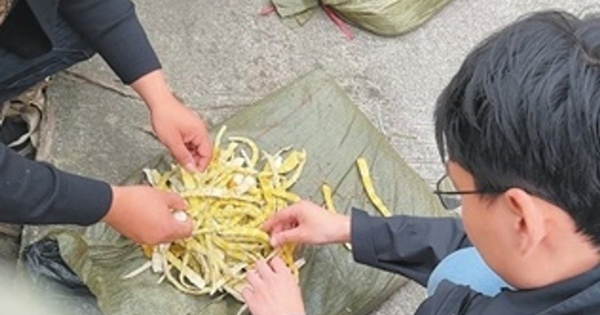 Sichuan Bamboo Shoot Producers Under Fire for Illegal Sulfur Fumigation