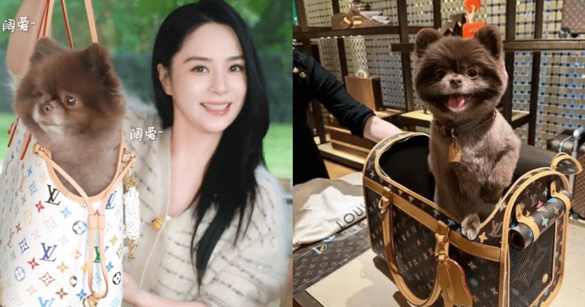 Gillian Chung Spoils Pet Dog with HK$28,000 LV Bag, Luxury Car, First-Class Flights