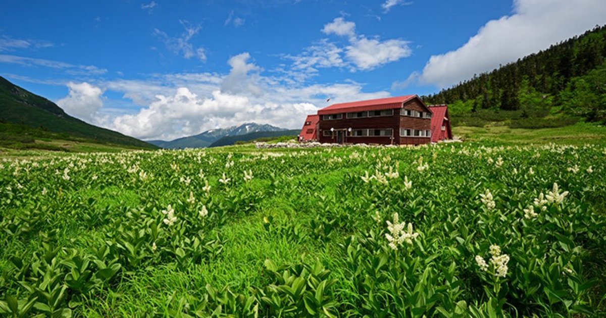 65-Year-Old Taiwanese Hiker Dies After Slipping on Rainy Trail in Japan Alps