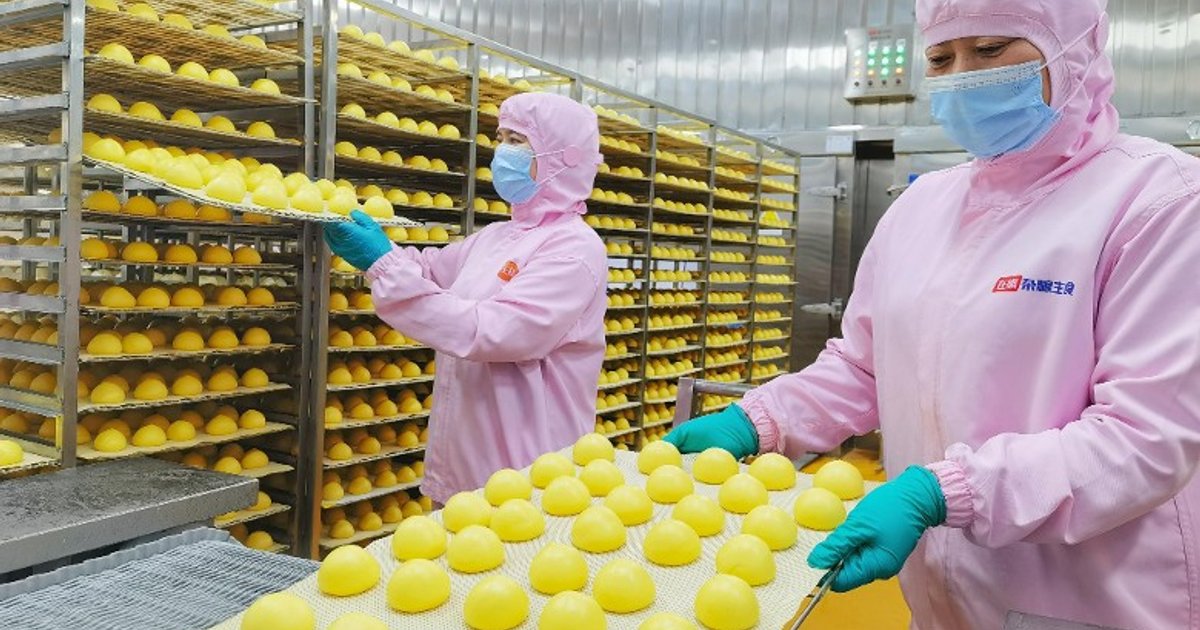 China's Grain Enterprises Exceed 4 Trillion Yuan in Annual Industrial Output