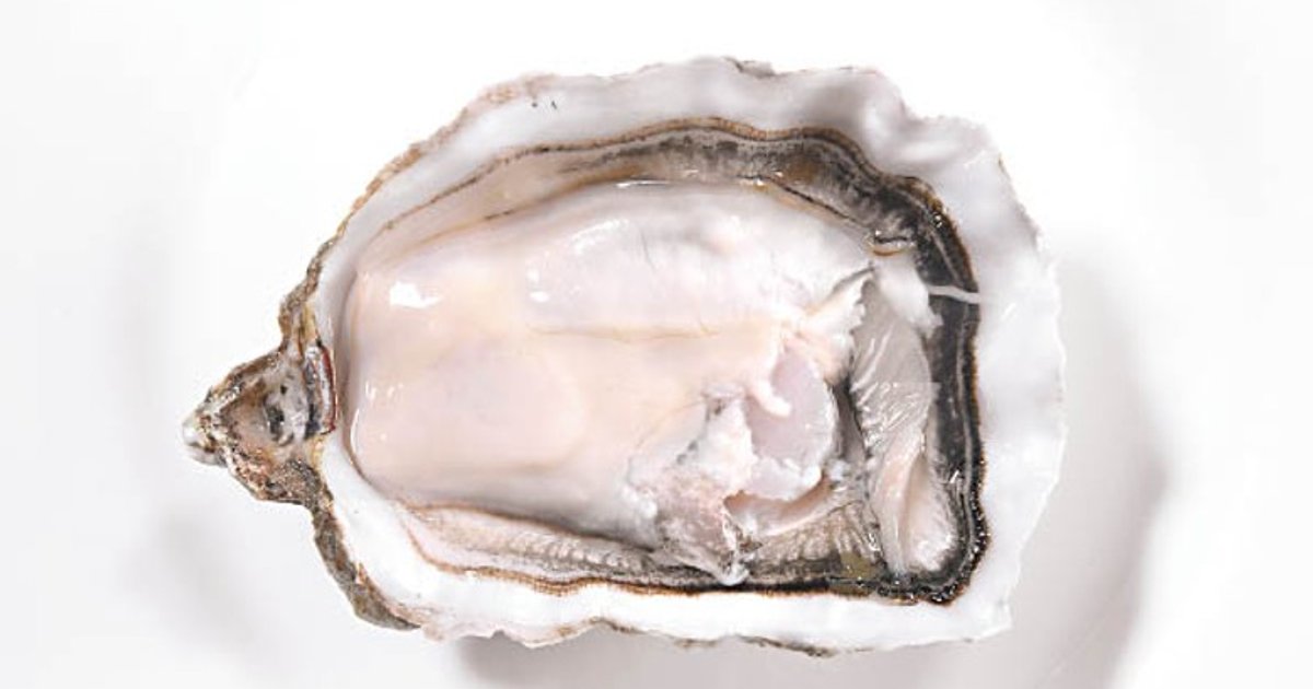 美國進口即食生蠔大腸桿菌超標 食安中心指令回收下架