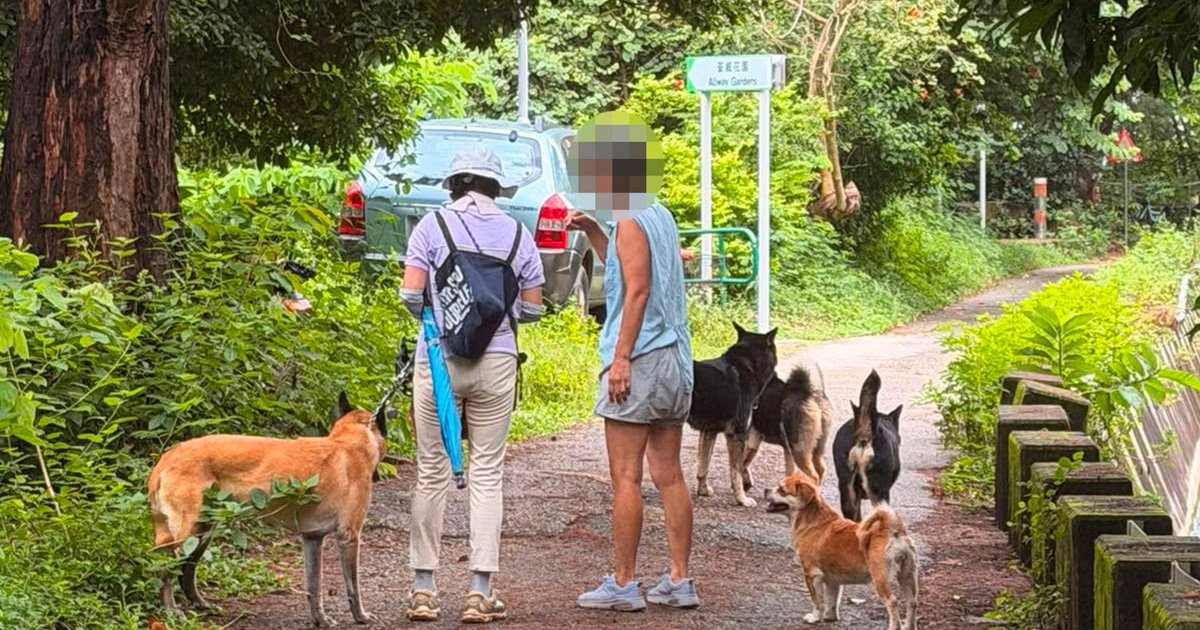 Two new dog attack cases investigated in Hong Kong amid safety concerns