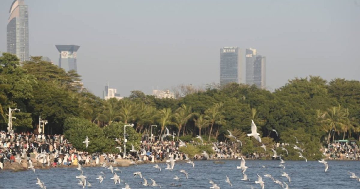 Shenzhen Parks Win Double Honors at World Urban Parks 'Oscars'