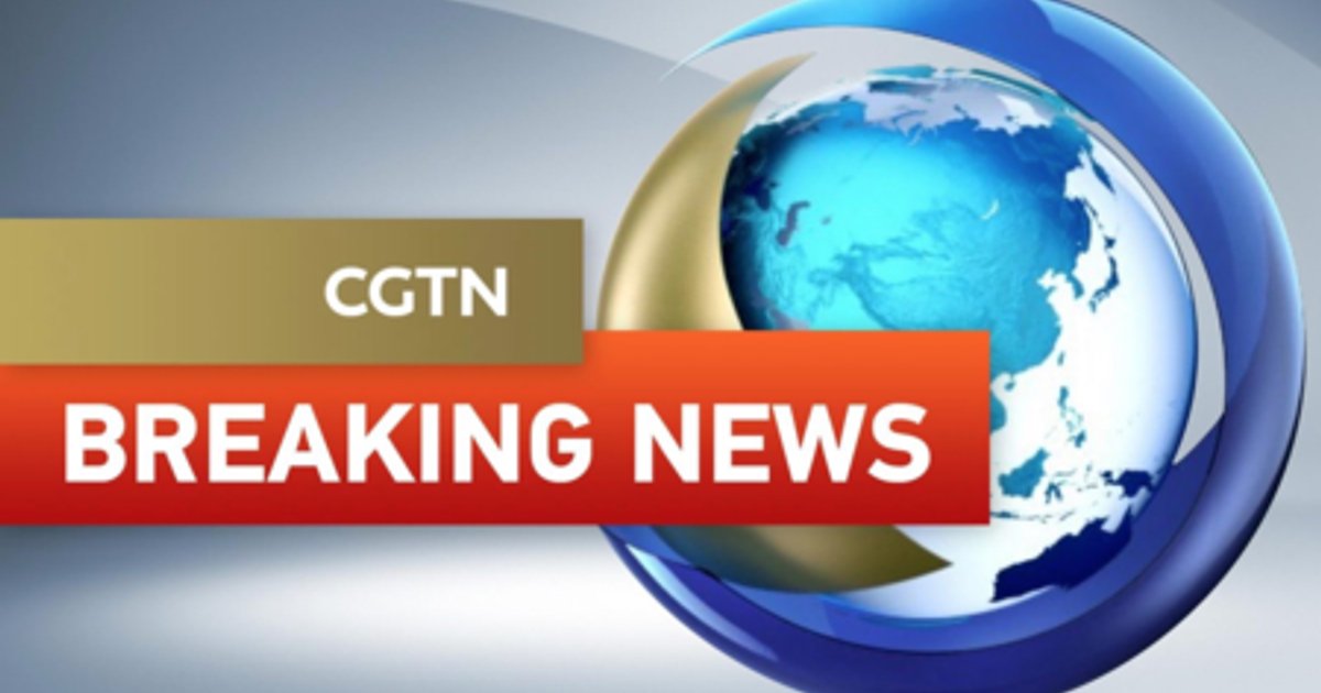 Gunfire, Explosions Reported in Niger's Capital Niamey