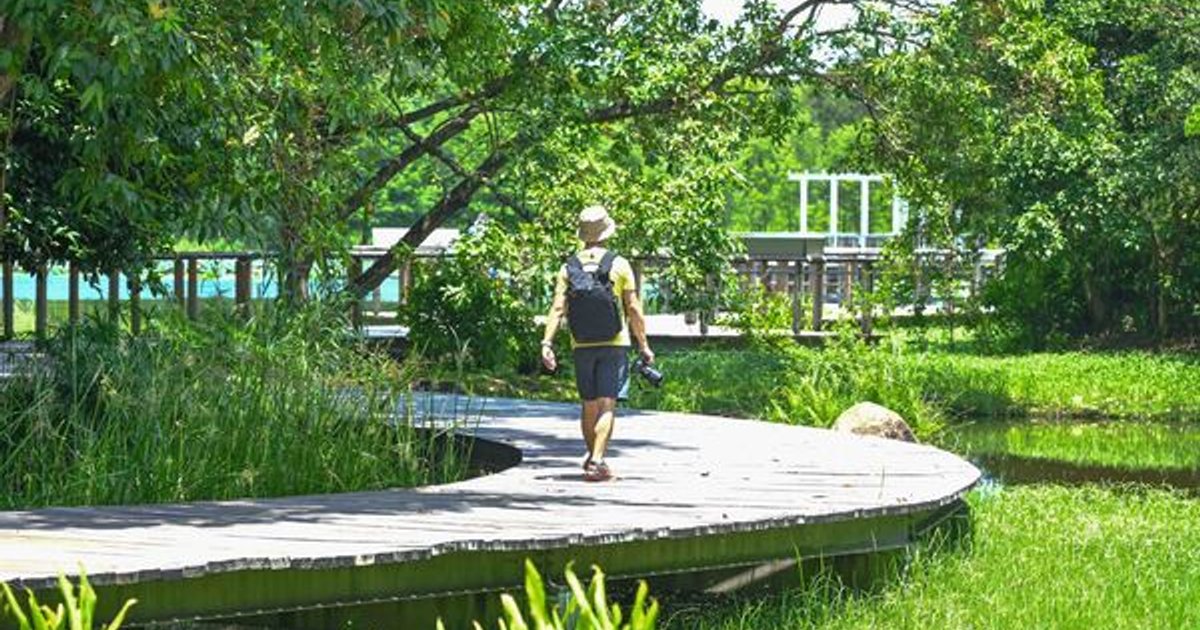 香港濕地公園生態日免費開放 多項環保活動8月至9月舉行