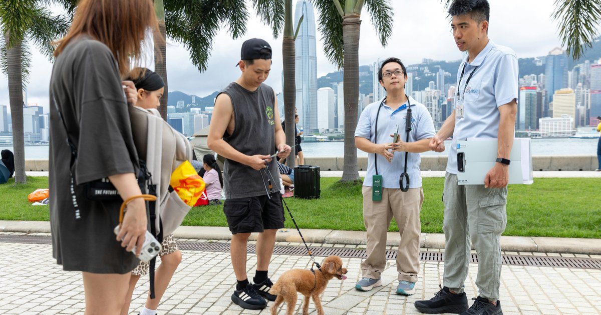 渔护署打击格斗犬惹争议　动保团体忧弃养潮涌现