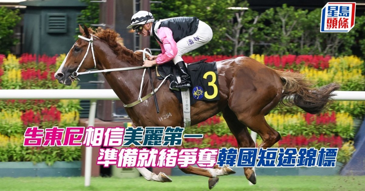 Caspar Fownes Confident Beautiful First Ready for Korean Sprint Championship
